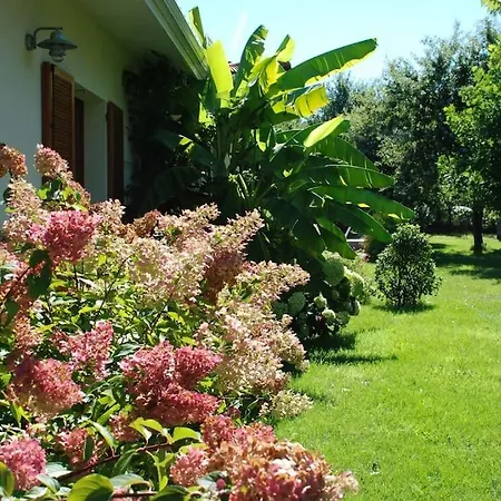 Zen 4* Biscarrosse